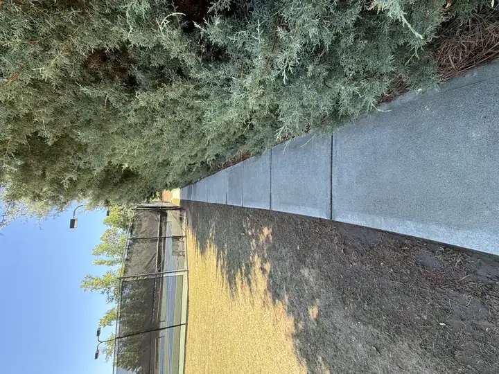 Clean concrete walkway beside tennis courts after pressure washing at Canton, GA community property