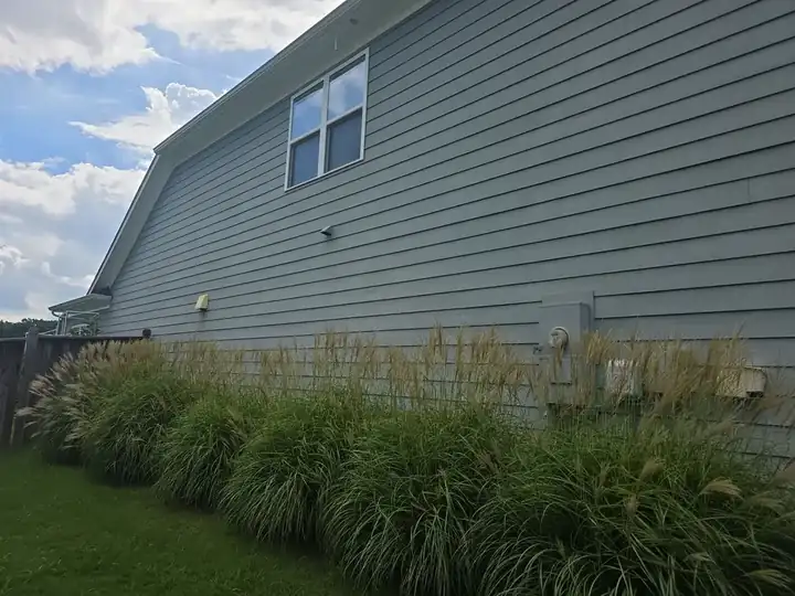 Side wall of a gray vinyl-sided home with ornamental grasses along the foundation at a house washing job in Canton, GA.