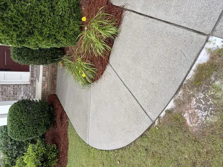 Curved concrete front walkway pressure-washed clean in Cumming, GA with fresh mulch beds and flowering plants alongside