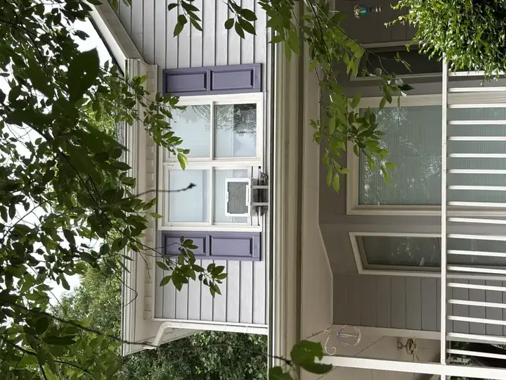 Clean gray vinyl siding and white porch on front of Canton, GA home after house washing, with purple shutters visible